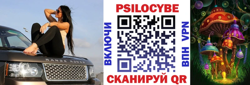 где найти   Кедровый  Галлюциногенные грибы GOLDEN TEACHER 